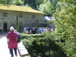 Singing in the Dell 